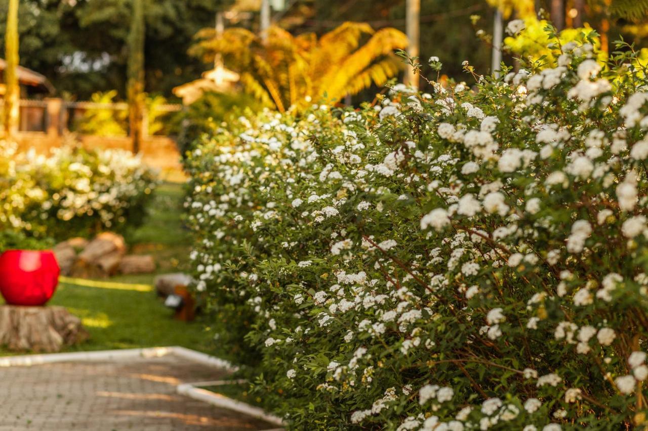 Pousada Betania Gramado Exterior foto